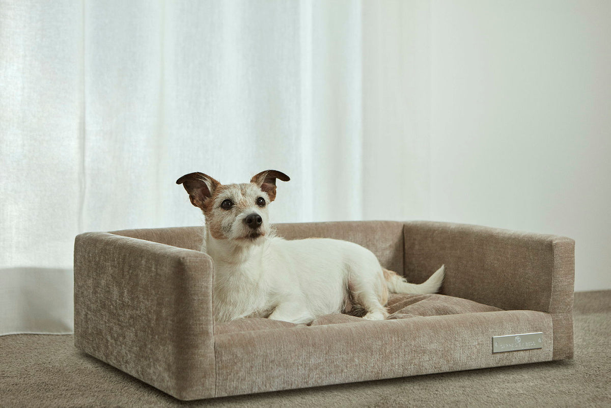 Hunnebo Dog Bed Large RO Asuri Cashew